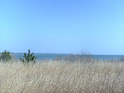 霞ヶ浦の全景